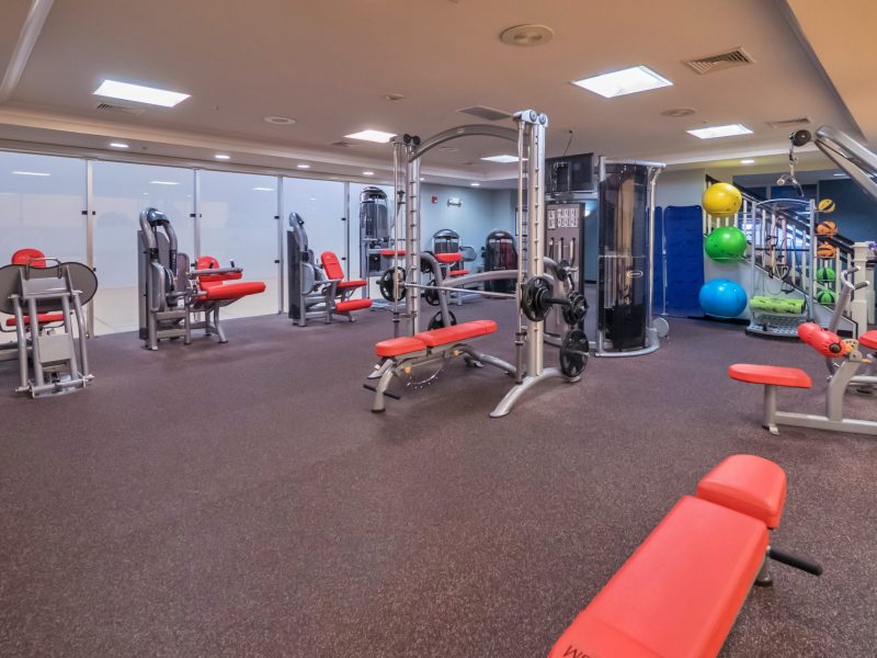 This image shows an expansive view of the fitness gym equipment for strength and chest workouts.